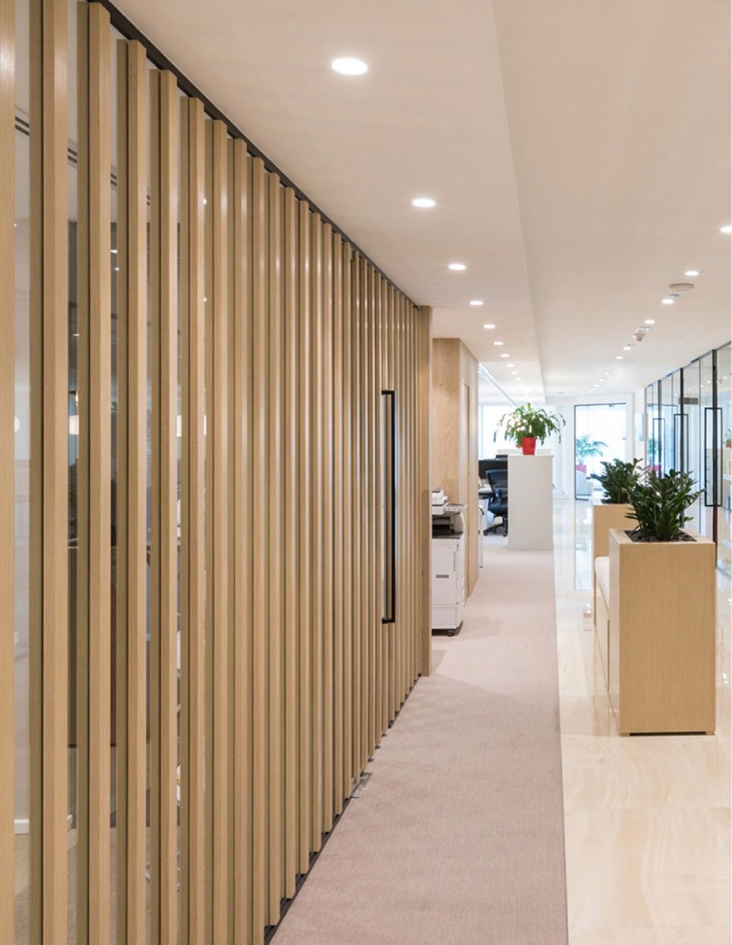 tnp-office_4daa6856e1b25fd2cdb3e53af9803b9f